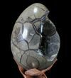 Septarian Dragon Egg Geode - Removable Section #89782-4